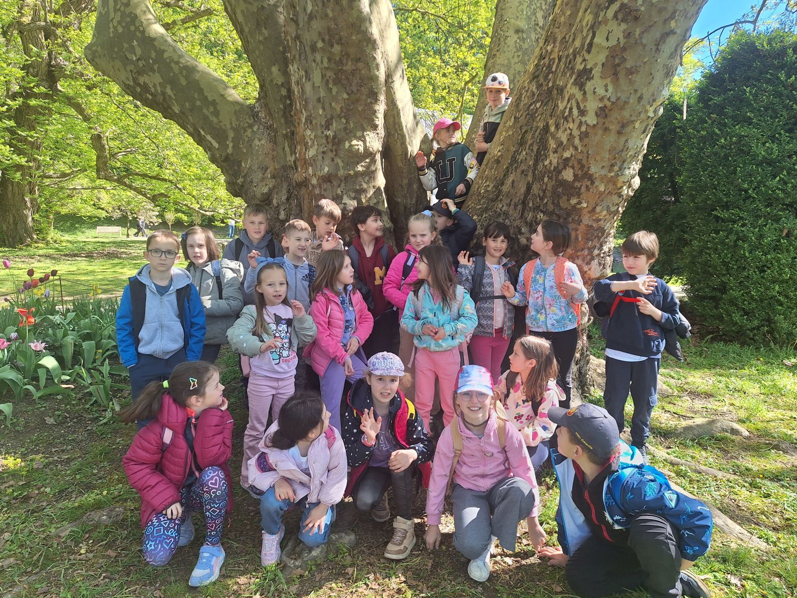 2r - arboretum Volčji Potok_002.jpg