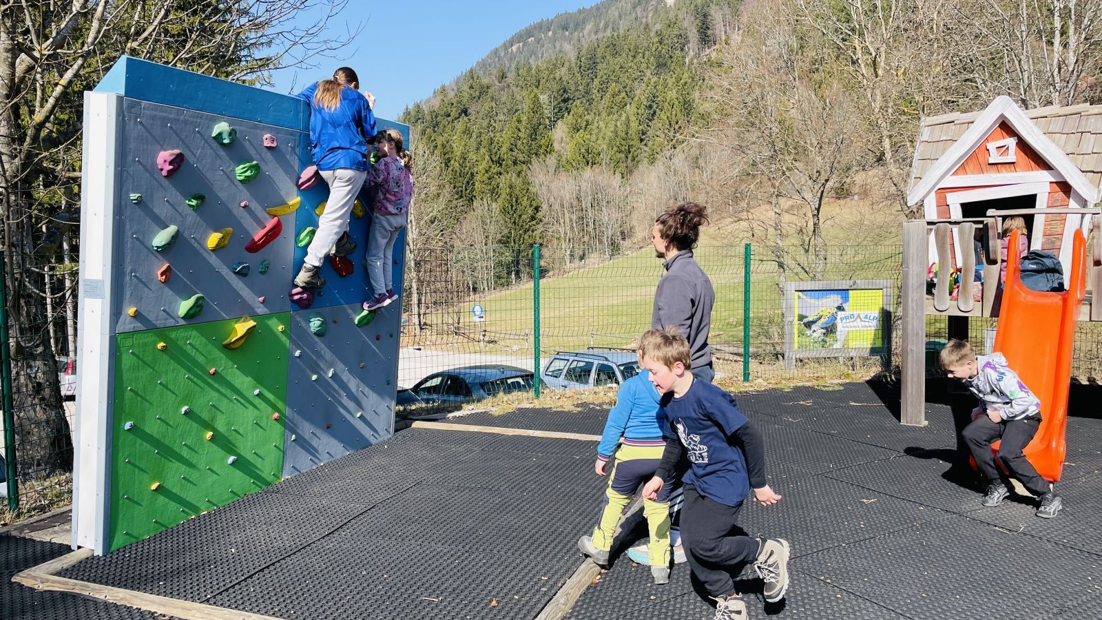 Planinci - Gozd_019.jpg