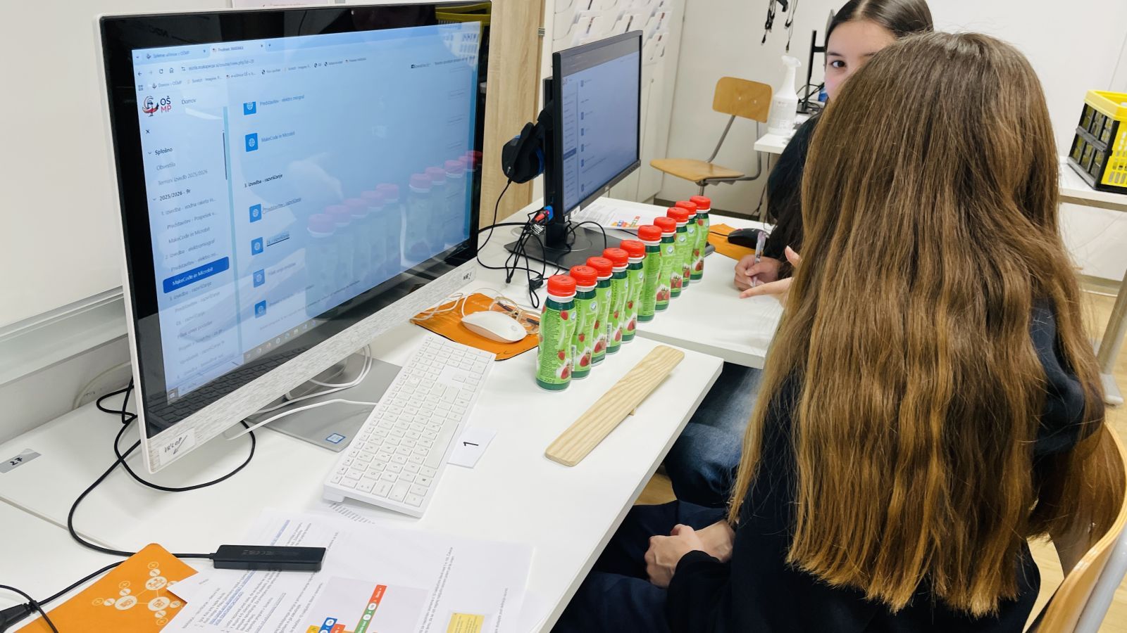 MARiNKA 8D 9r - razvrščanje_003.jpg