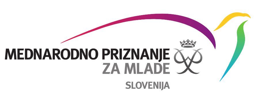 mepi_mednarodno_priznanje_za_mlade.jpg